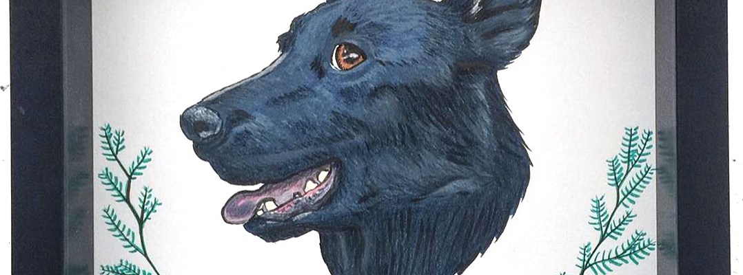 Framed color pet portrait